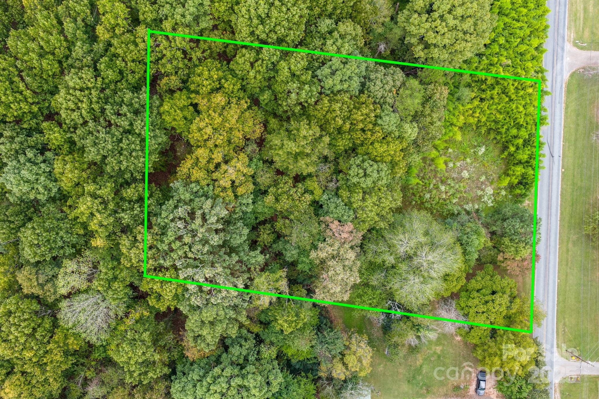 1615 Fox Dairy Road, Unit 12 Newton, NC 28658 - Photo 28 of 35 a view of a lush green forest