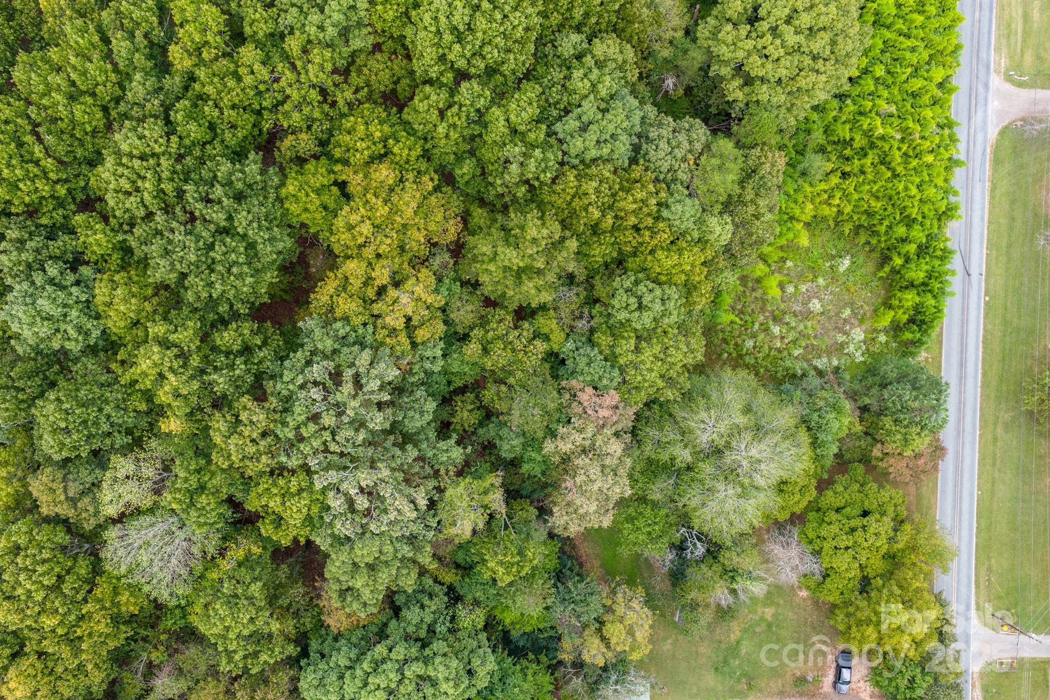 1615 Fox Dairy Road, Unit 12 Newton, NC 28658 - Photo 29 of 35 a view of a lush green forest