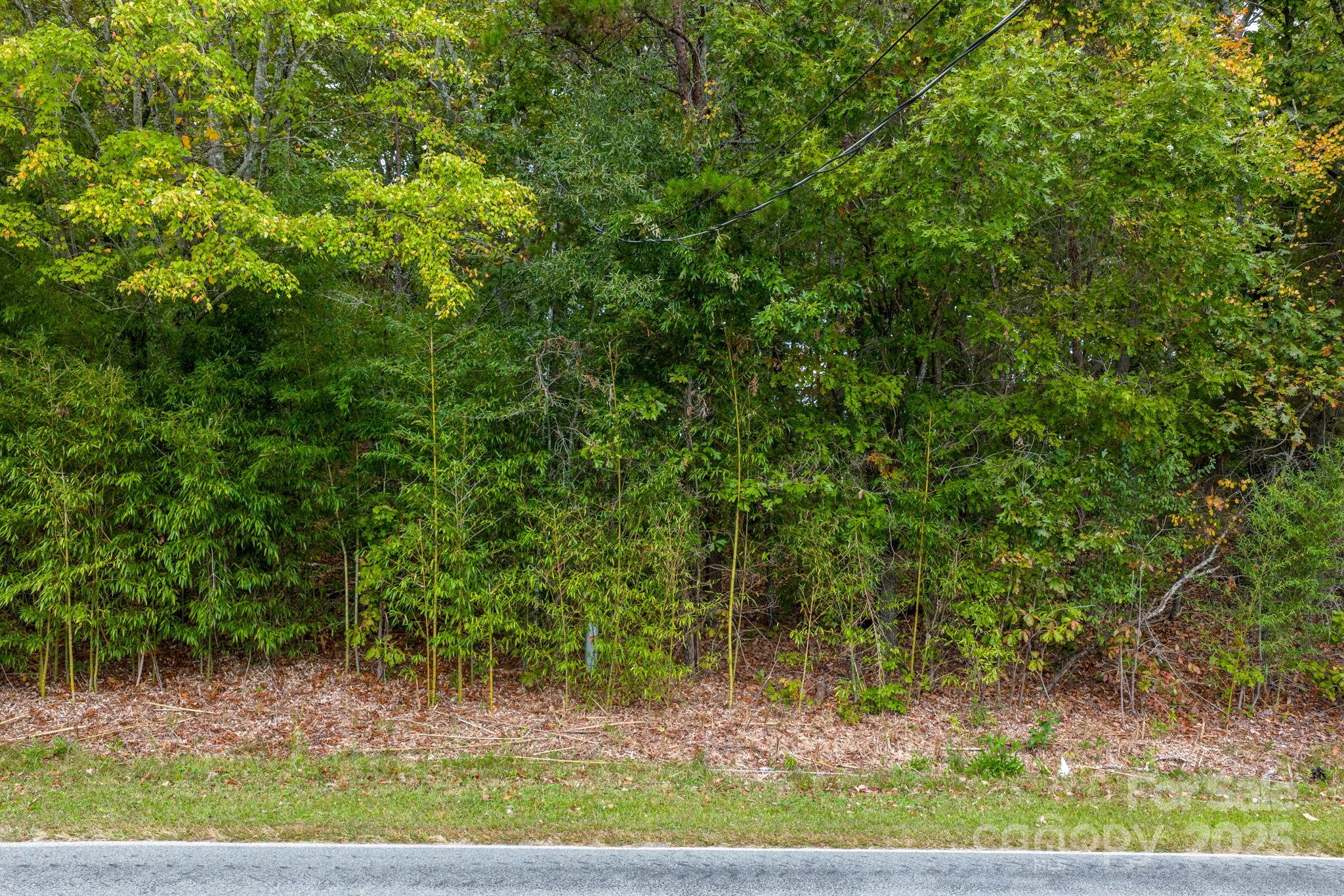 1615 Fox Dairy Road, Unit 12 Newton, NC 28658 - Photo 3 of 35 a view of backyard with green space