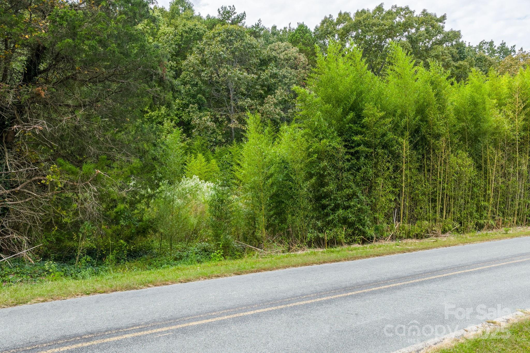 1615 Fox Dairy Road, Unit 12 Newton, NC 28658 - Photo 31 of 35 a view of a yard and a street view