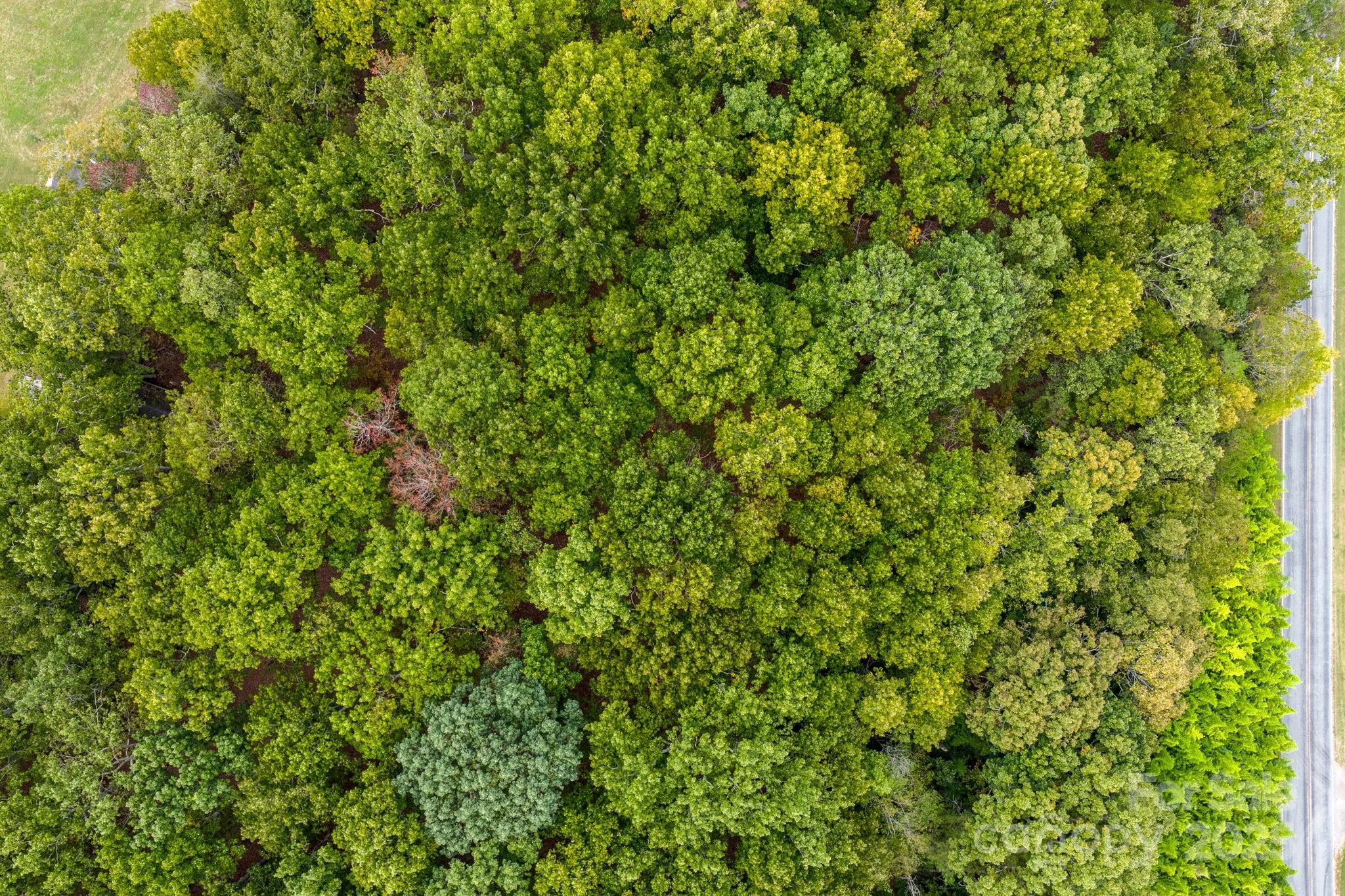 1615 Fox Dairy Road, Unit 12 Newton, NC 28658 - Photo 6 of 35 a view of a lush green field
