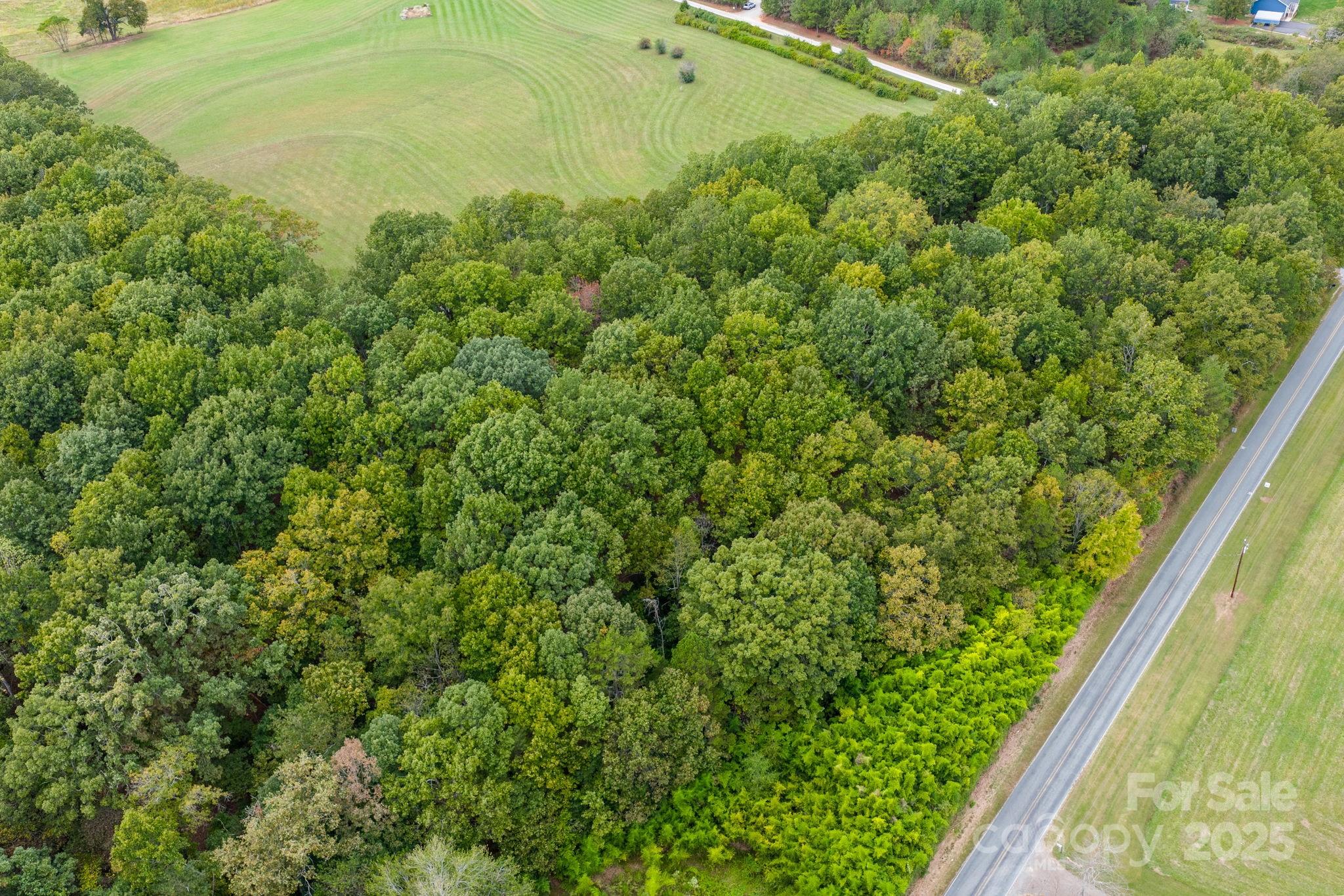 1615 Fox Dairy Road, Unit 12 Newton, NC 28658 - Photo 7 of 35 a view of a forest from a window