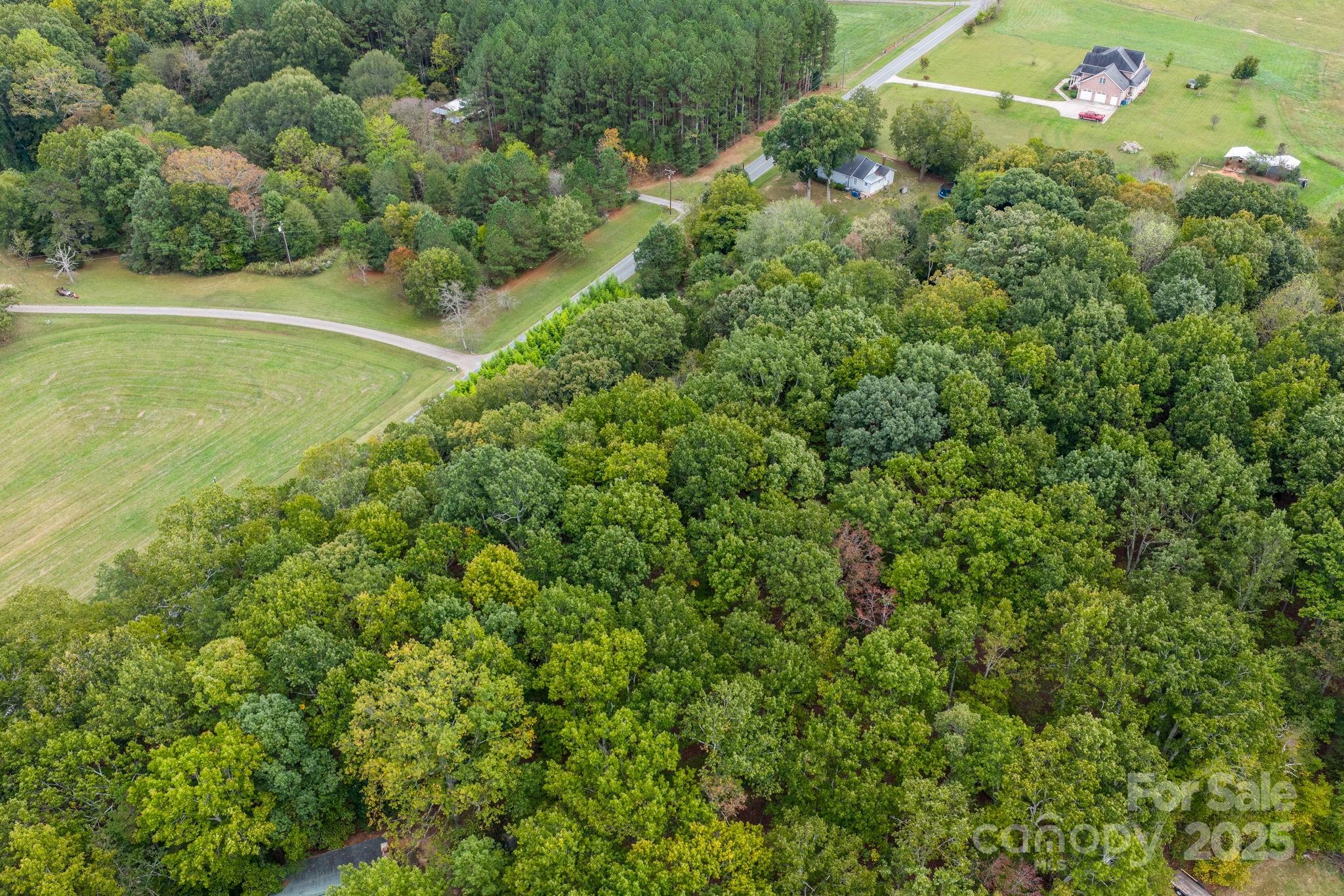 1615 Fox Dairy Road, Unit 12 Newton, NC 28658 - Photo 10 of 35 a view of a lush green forest with lots of trees