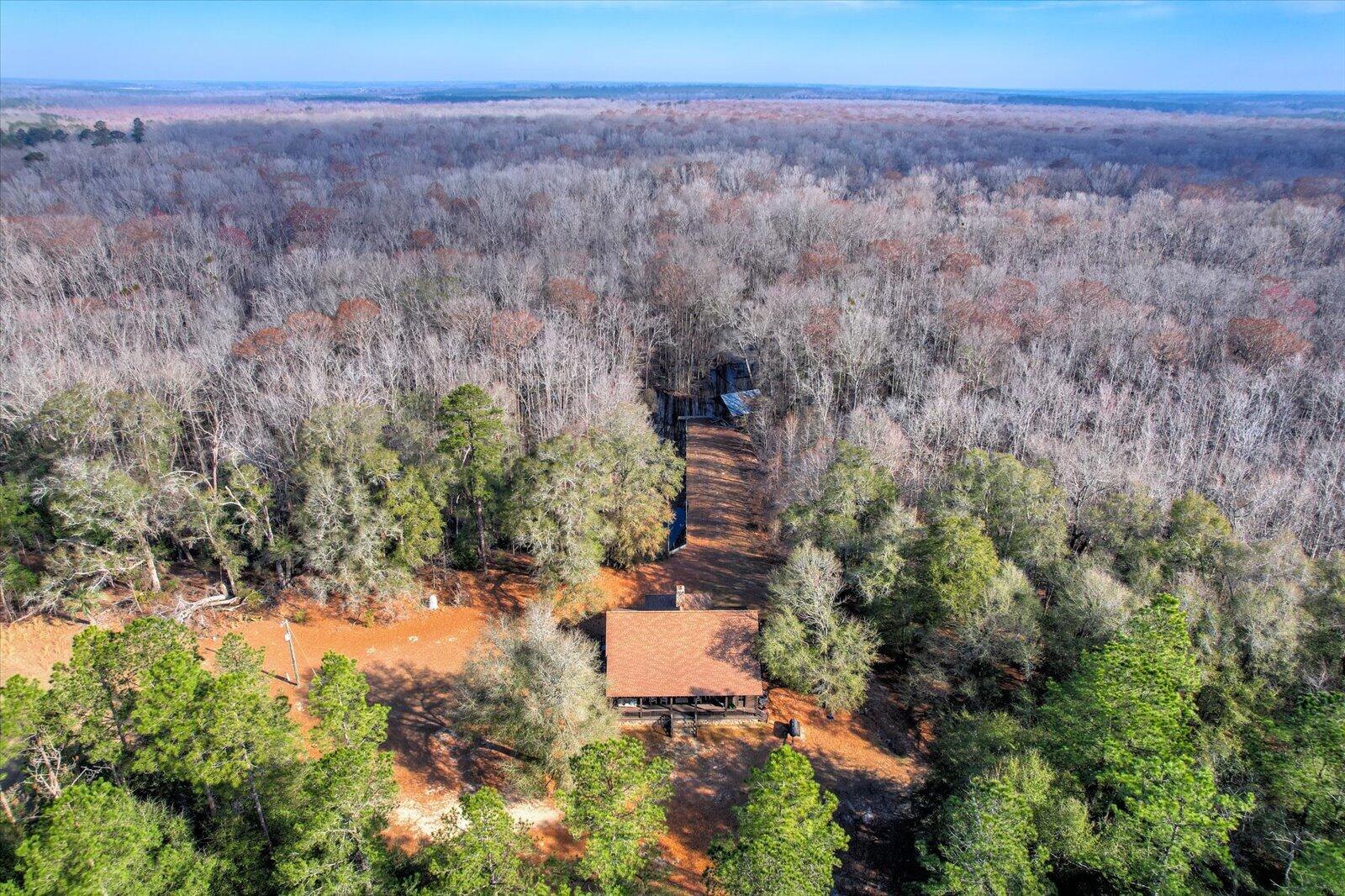 1114 Lott Bluff Road Blackville, SC 29817 - Photo 74 of 164