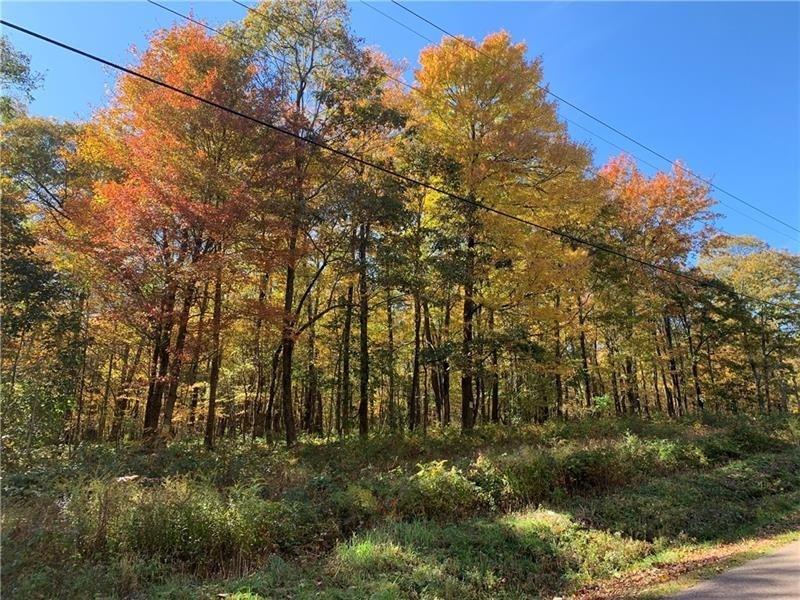 . Kentuck Road Ohiopyle, PA 15470 - Photo 1 of 1 a view of yard