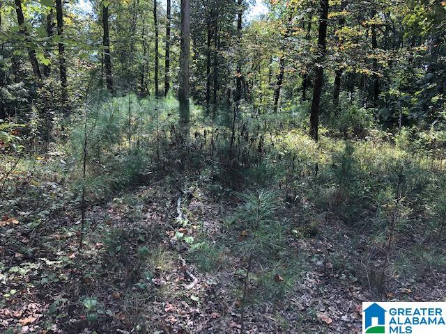 334 Warrior River Highlands Road, Unit 2 Adger, AL 35006 - Photo 1 of 2
