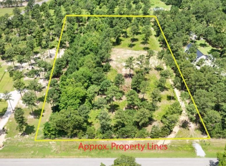 185 Ben Ivey Road Webb, AL 36376 - Photo 1 of 9
