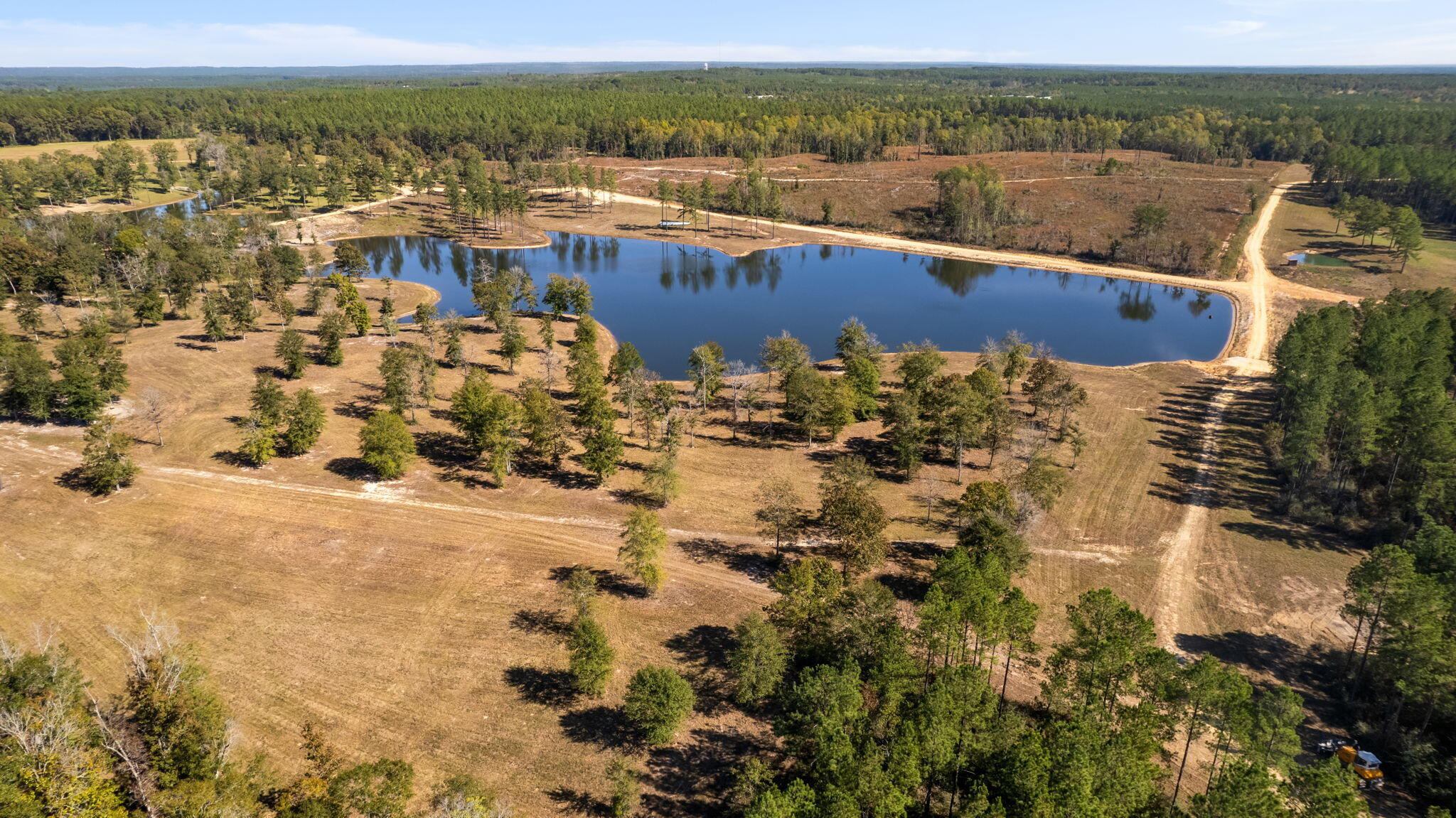 363 Rockhill To Lumberton Road Purvis, MS 39475 - Photo 26 of 71 Gallery Image 26