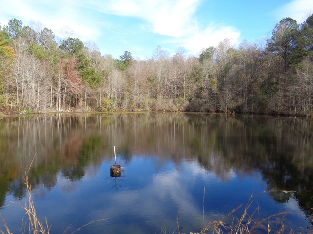 70.96 Cty Road Banks, AL 36005 - Photo 1 of 1