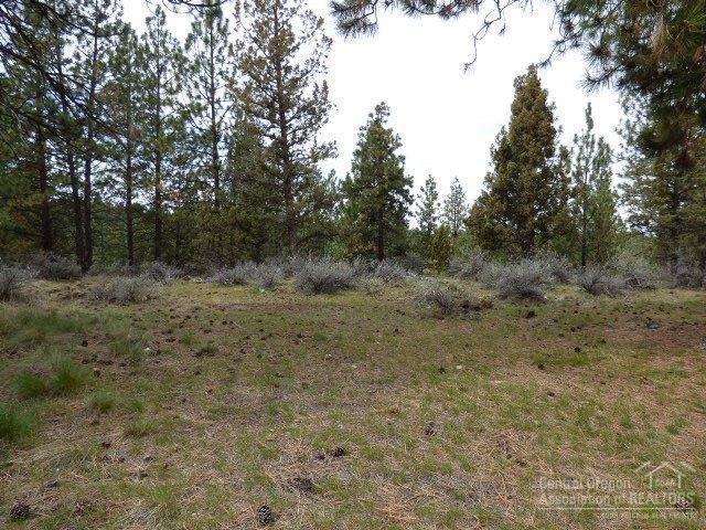 3202 McClellan Road Bend, OR 97702 - Photo 21 of 25 a view of a dry yard with trees in the background