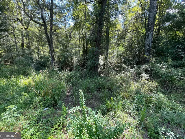 a view of a lush green forest with trees