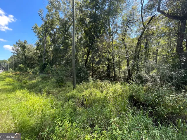 a view of a yard with plants and a tree