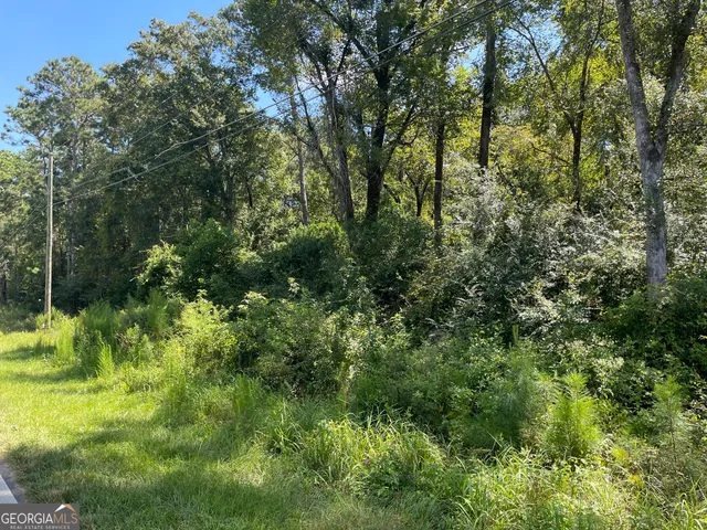 a view of a lush green forest