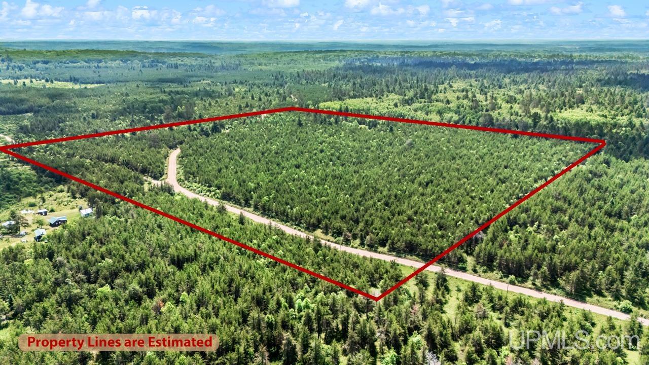 Tbd Bryan Creek Road Ishpeming, MI 49849 - Photo 2 of 16