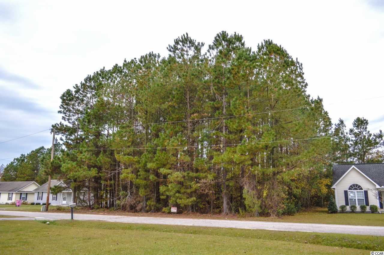 Lot R3 Spivey Street Loris, SC 29569 - Photo 3 of 13 Gallery Image 3