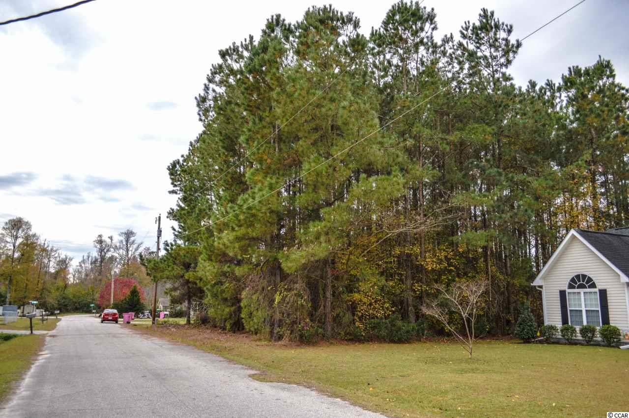 Lot R3 Spivey Street Loris, SC 29569 - Photo 6 of 13 Gallery Image 6