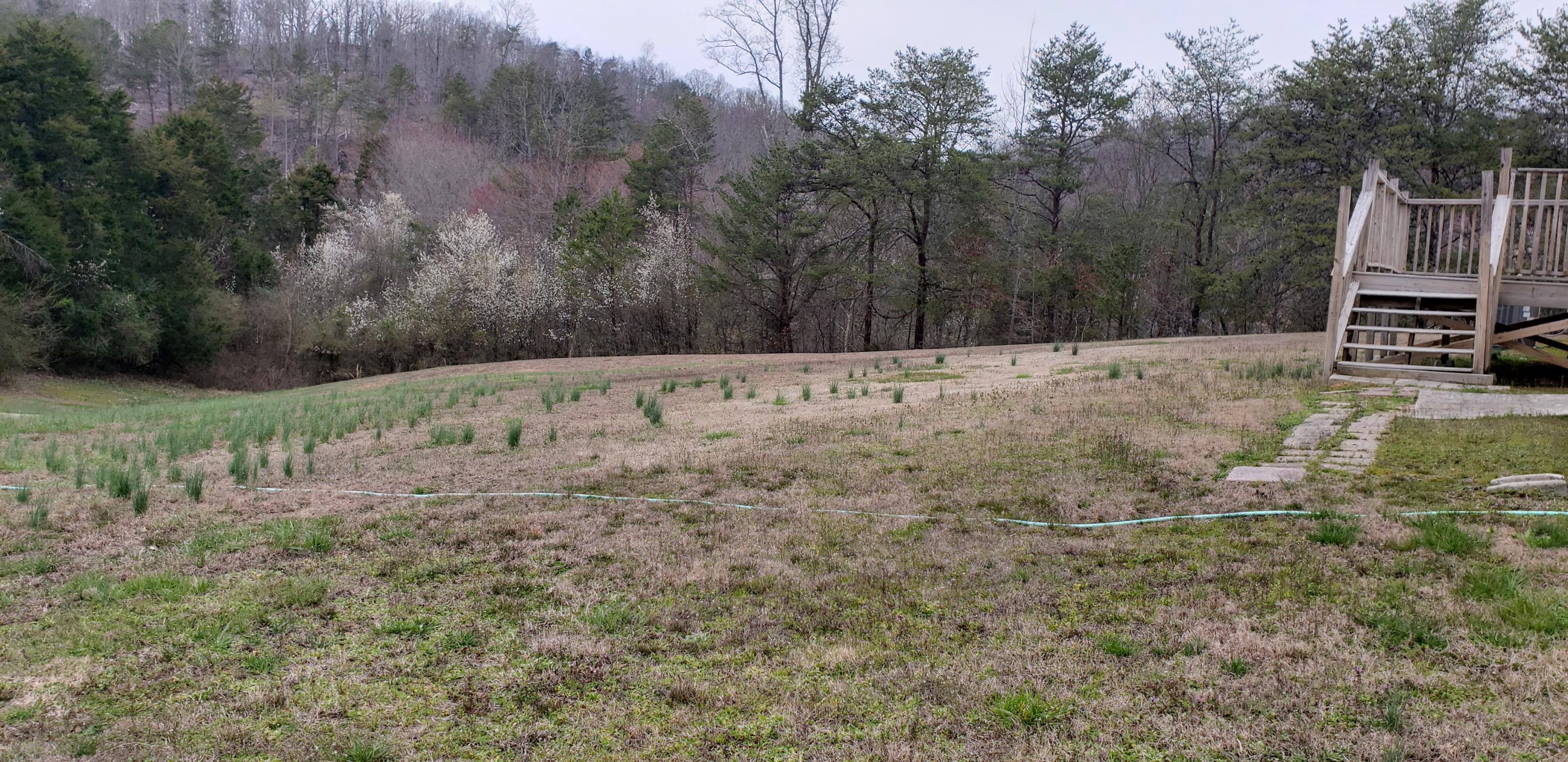 342 Chandley Road Kingston, TN 37763 - Photo 30 of 30 061