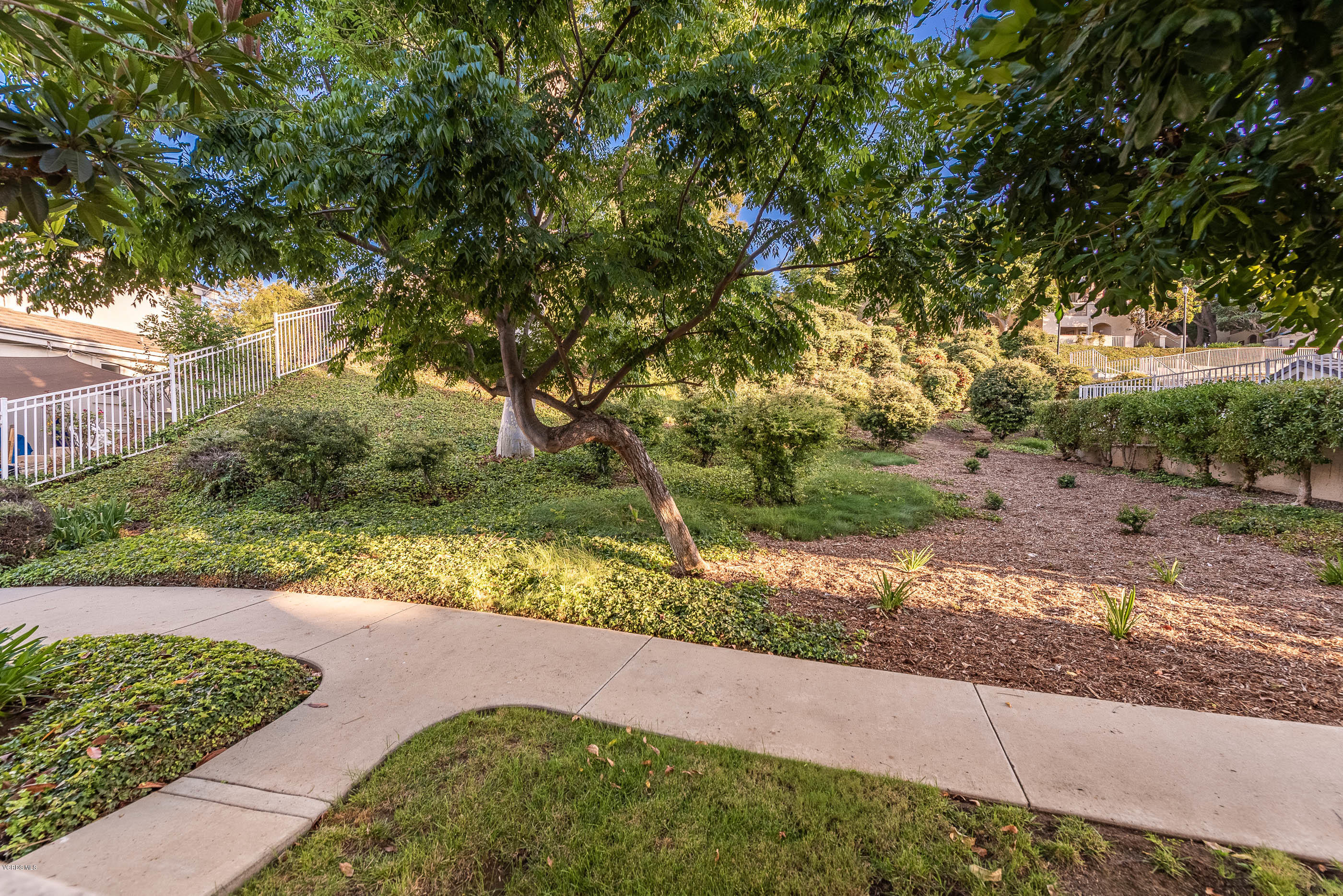 1007 Waltham Road, Unit C Simi Valley, CA 93065 - Photo 21 of 25 a view of a yard with an trees