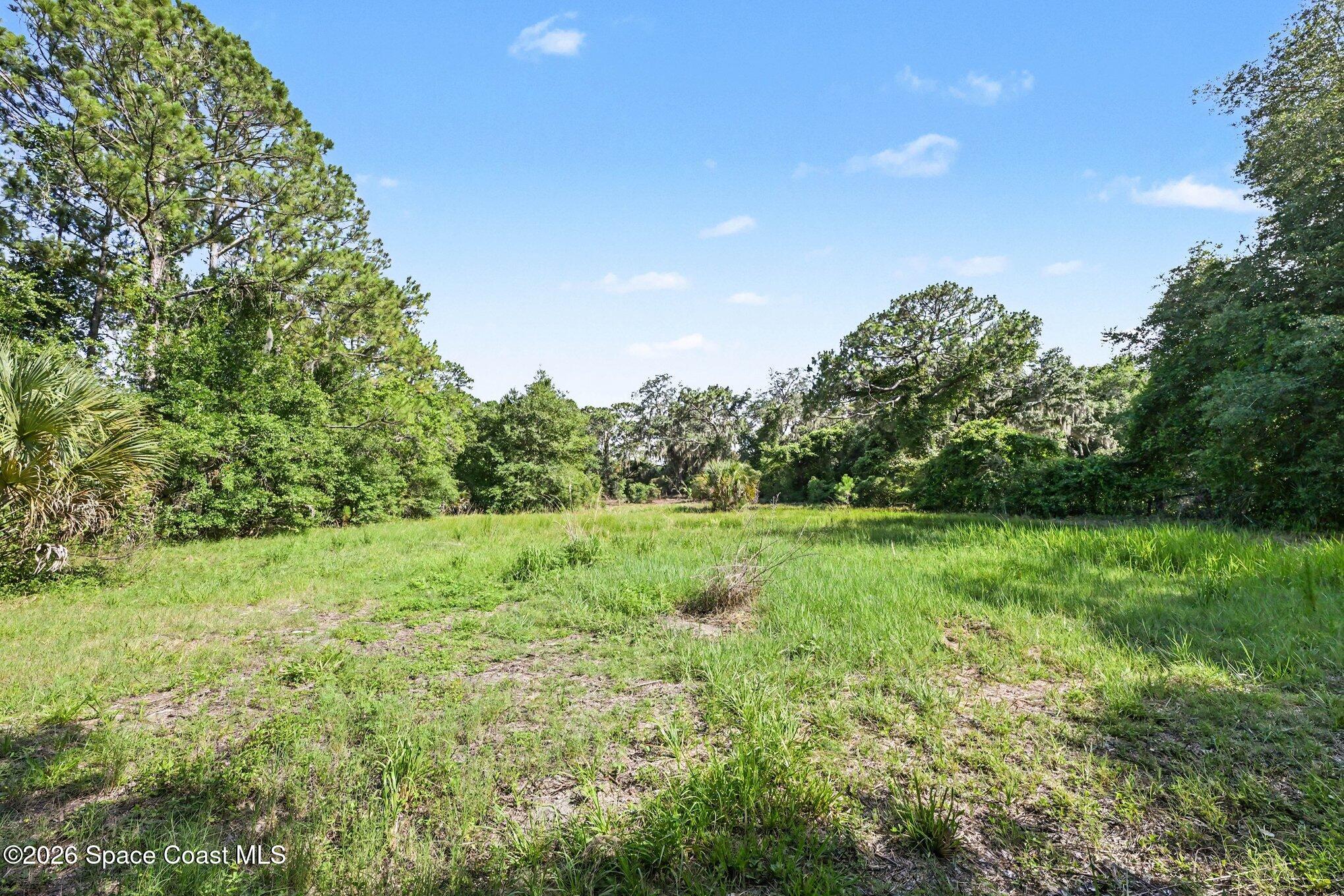4785 Harrison Road Mims, FL 32754 - Photo 23 of 34 back pasture