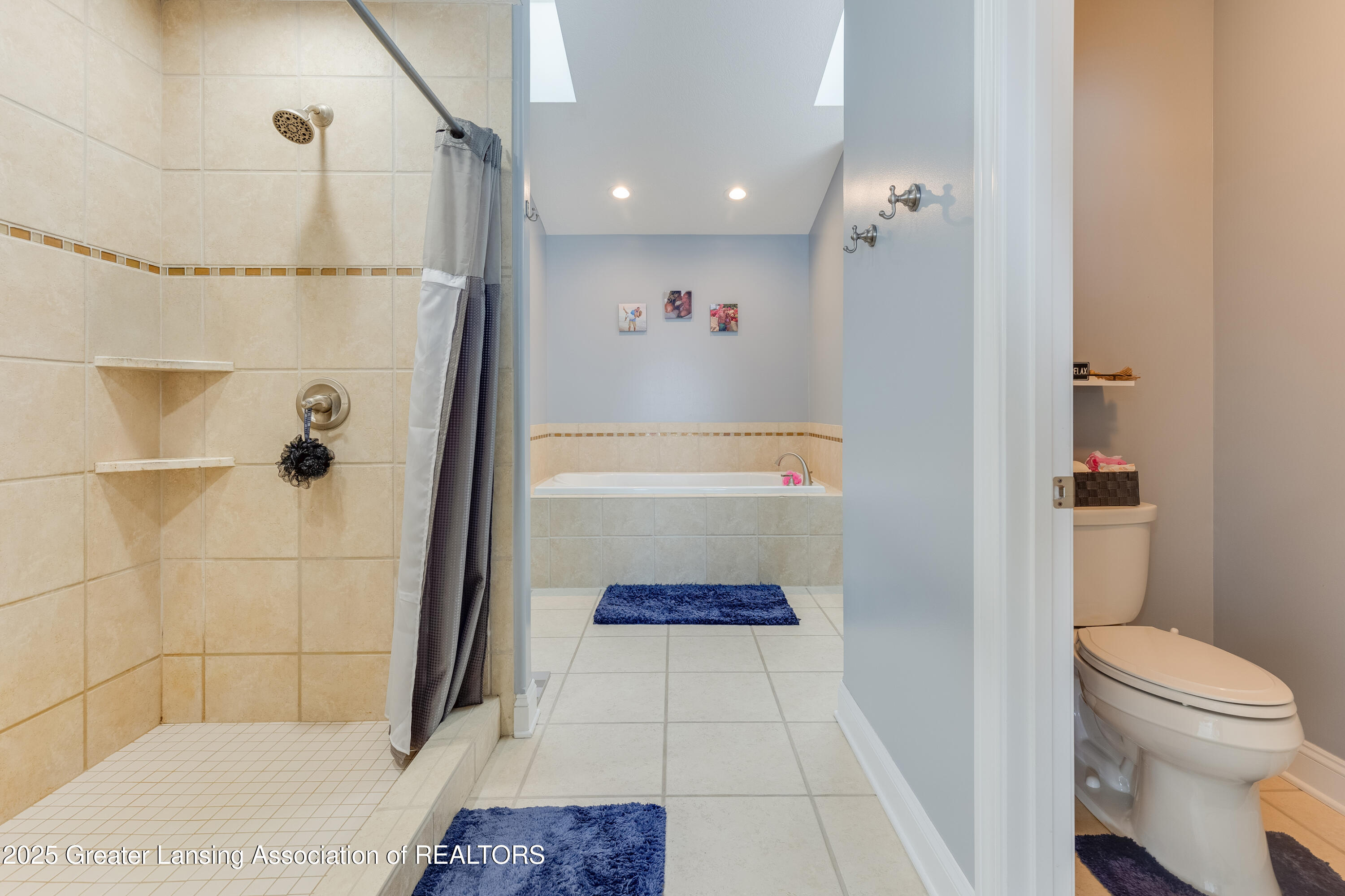11775 South Francis Road Dewitt, MI 48820 - Photo 32 of 47 11775_Francis_INTERIOR_EVAN-45