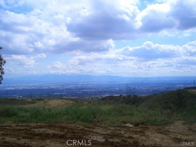 10095 Snowdrop Road Rancho Cucamonga, CA 91737 - Photo 3 of 10 a view of a city with lush green forest