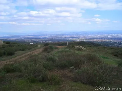 a view of a city with lush green forest