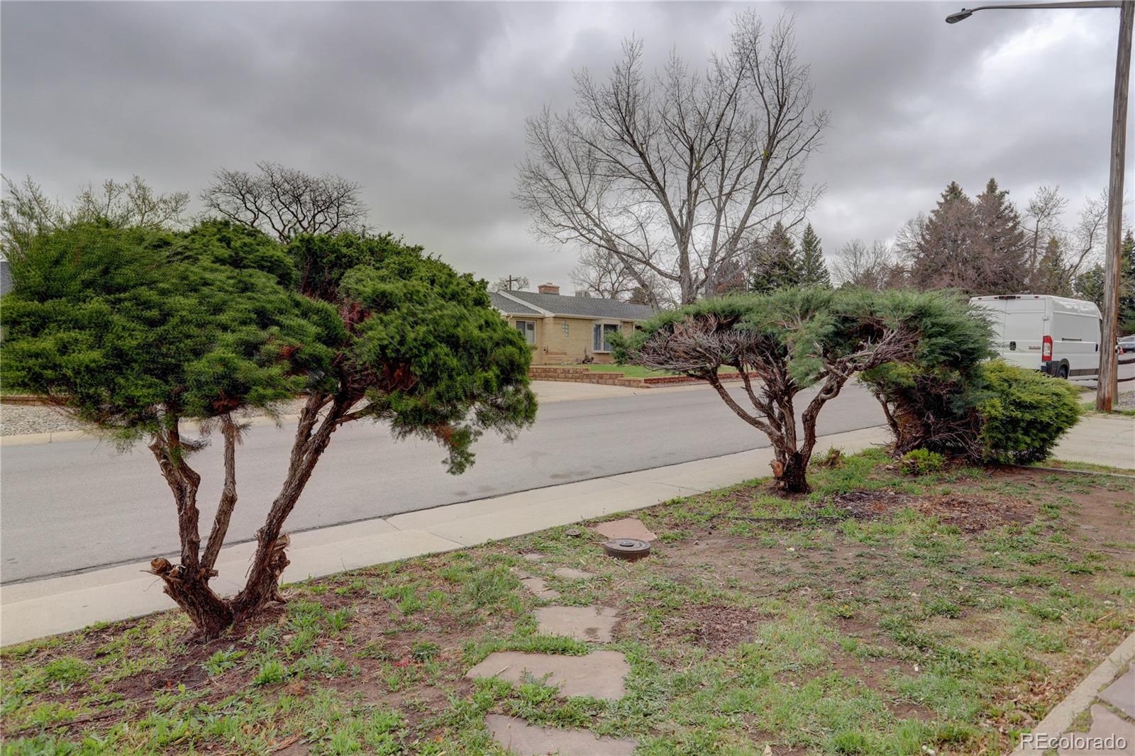 4315 Balsam Street Wheat Ridge, CO 80033 - Photo 34 of 34 a plant is in front of a white house