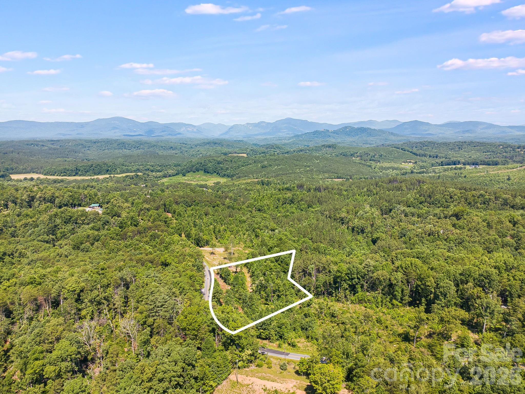 Lot #2 Clark Road Rutherfordton, NC 28139 - Photo 3 of 36