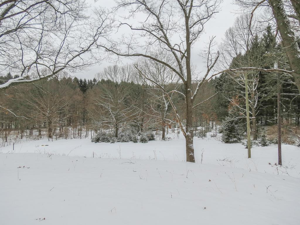 8065 Donovan Road Dexter, MI 48130 - Photo 54 of 55 Photo 54