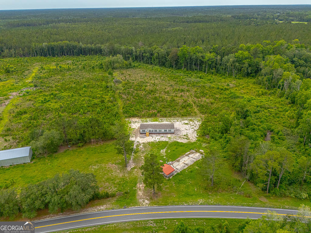 6401 Riverside Road, Unit TRACT 2 Nahunta, GA 31553 - Photo 42 of 42