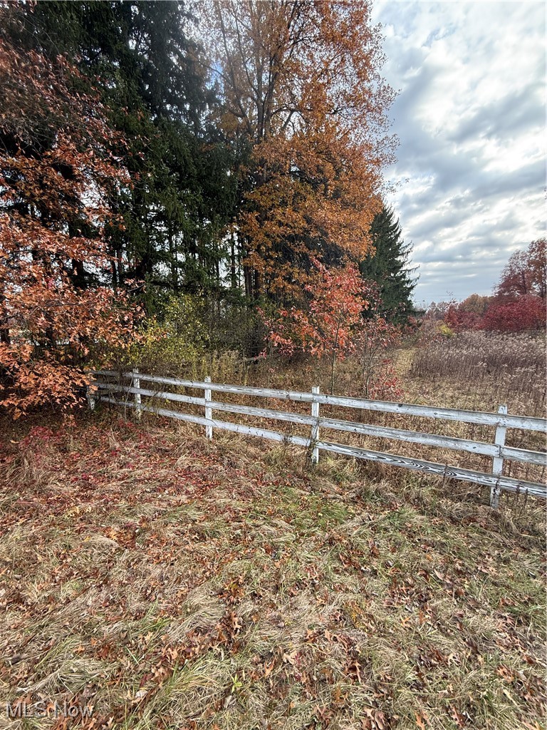 27259 Cook Road Olmsted Falls, OH 44138 - Photo 9 of 10 Fence about 100 yrs off road, where property widens to 156 ft
