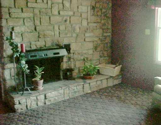 110 Bebout Road Venetia, PA 15367 - Photo 3 of 8 Den/Family/Great Room.