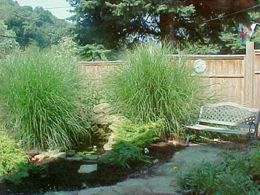 110 Bebout Road Venetia, PA 15367 - Photo 4 of 8 Yard/Garden.
