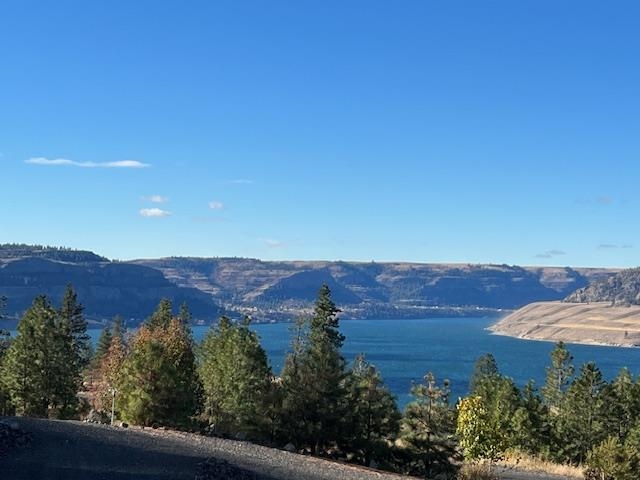 39677 Vantage Point Seven Bays, WA 99122 - Photo 3 of 3