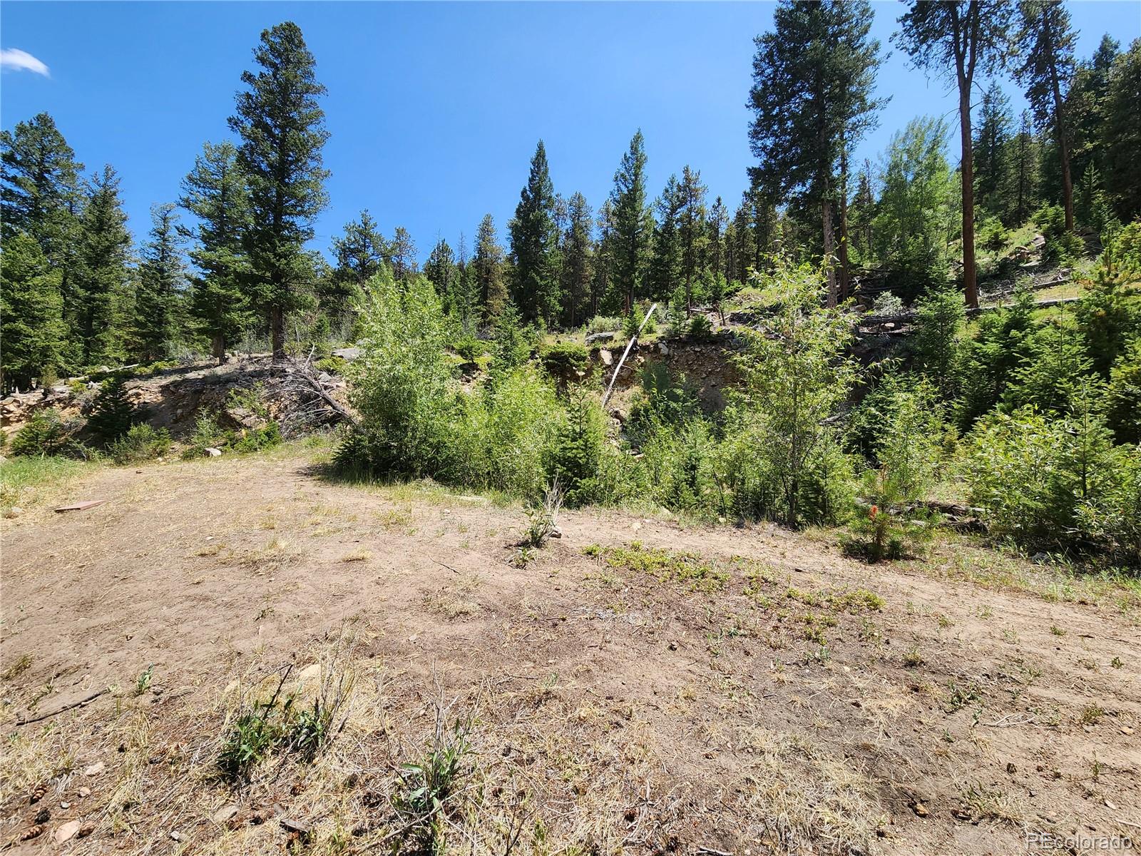 256 Capital Road Dumont, CO 80436 - Photo 2 of 50