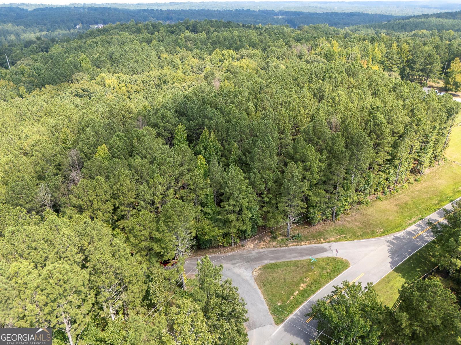 0 Mt Moriah Road Dallas, GA 30132 - Photo 1 of 1 Gallery Image 1