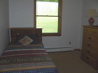 13799 Belding Road Northeast Belding, MI 48809 - Photo 3 of 14 Additional Photo