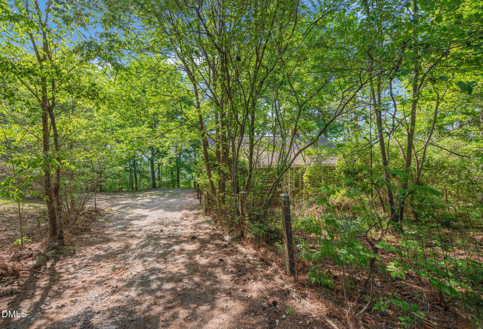 1714 Terry Road Durham, NC 27712 - Photo 20 of 39 a view of a forest with trees