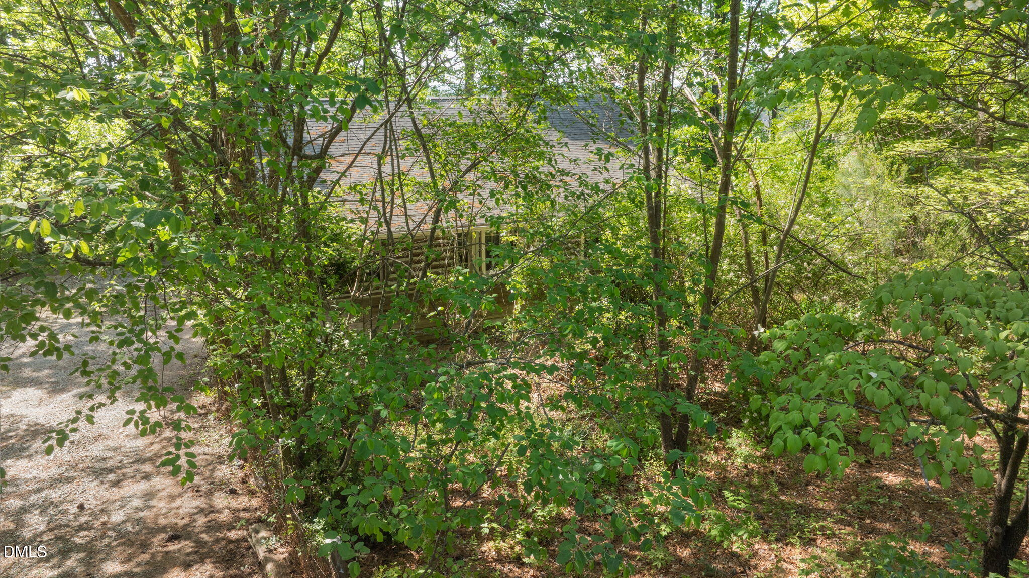 1714 Terry Road Durham, NC 27712 - Photo 31 of 39 a view of a lush green forest