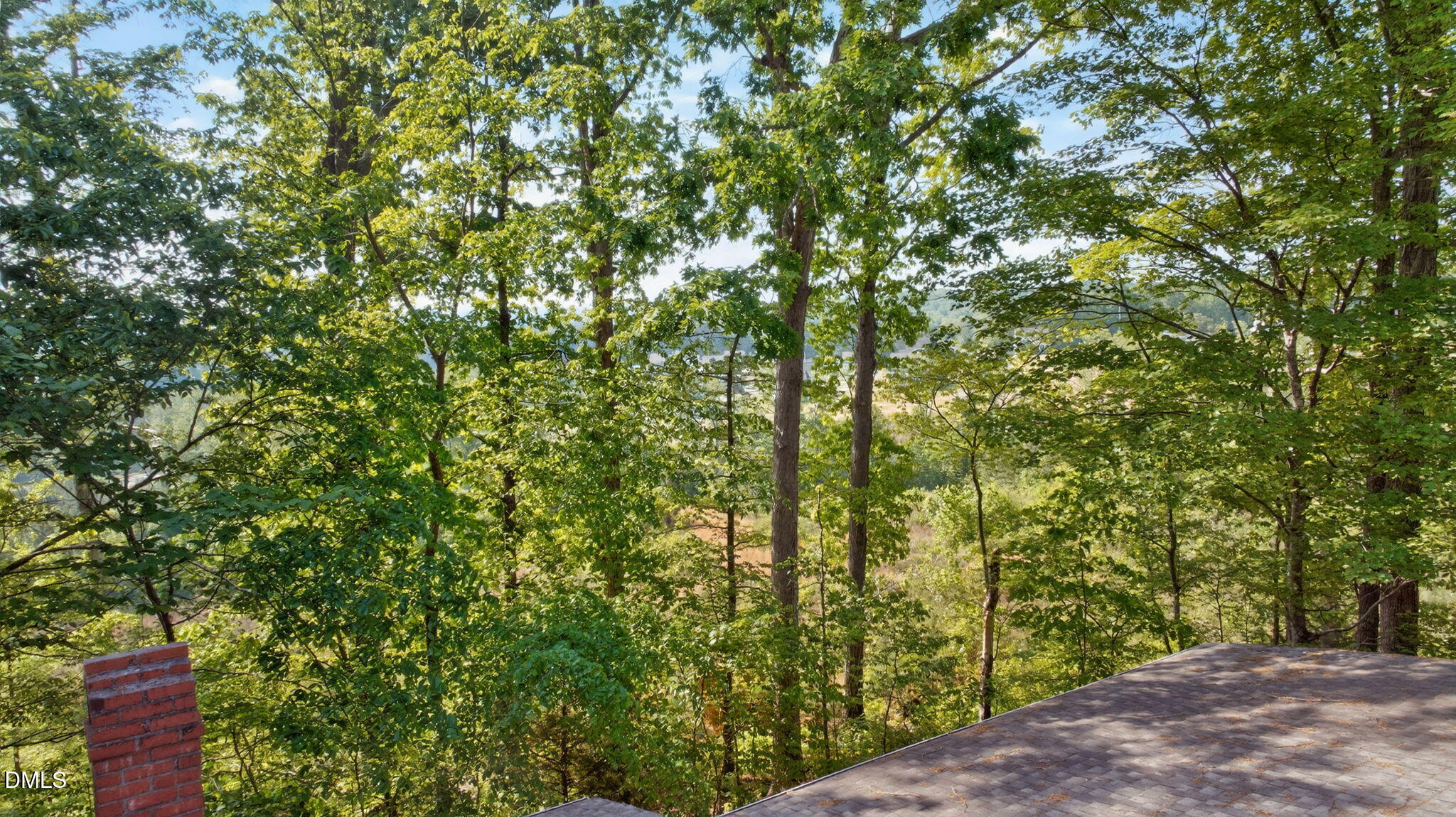 1714 Terry Road Durham, NC 27712 - Photo 33 of 39 a view of a yard with a tree