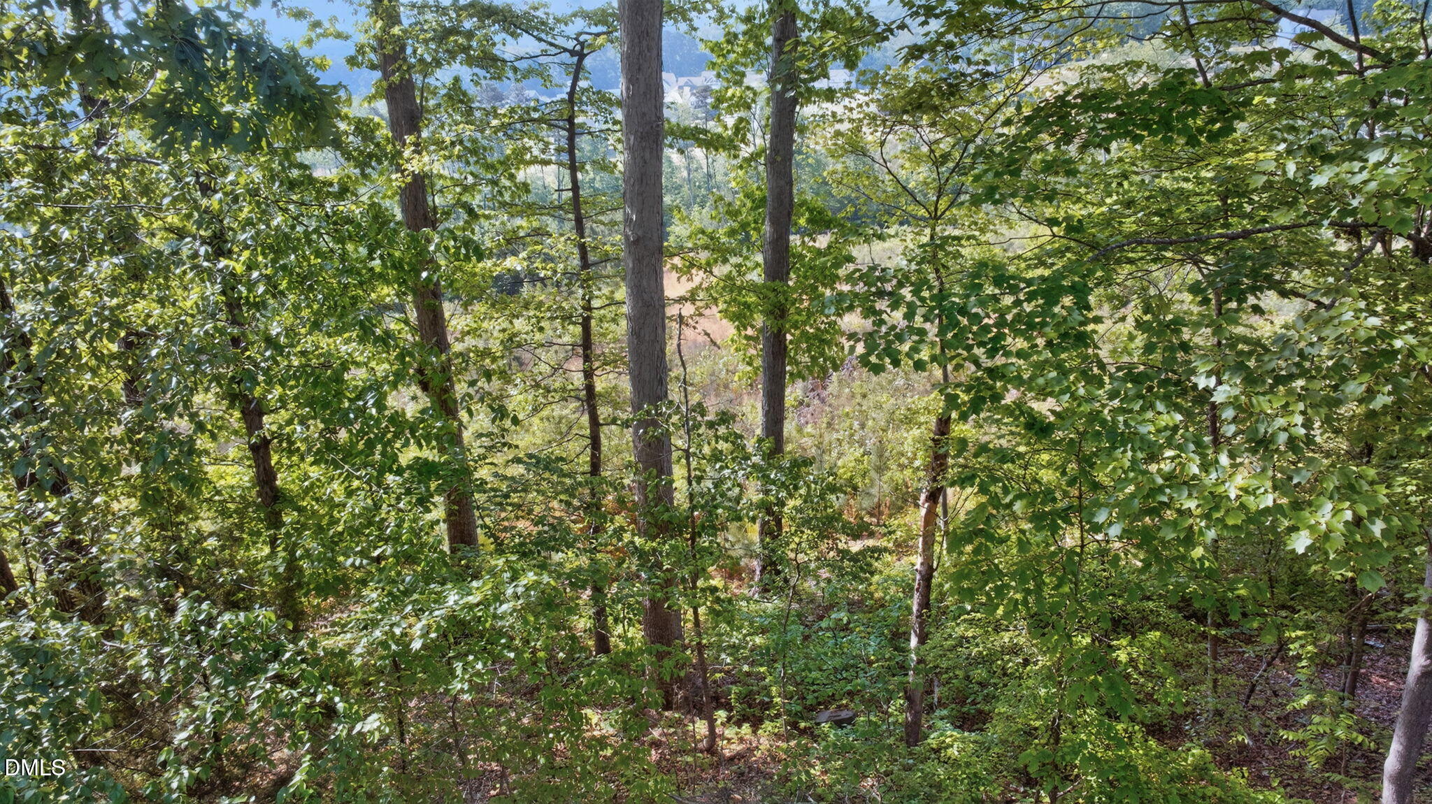 1714 Terry Road Durham, NC 27712 - Photo 35 of 39 a view of a yard