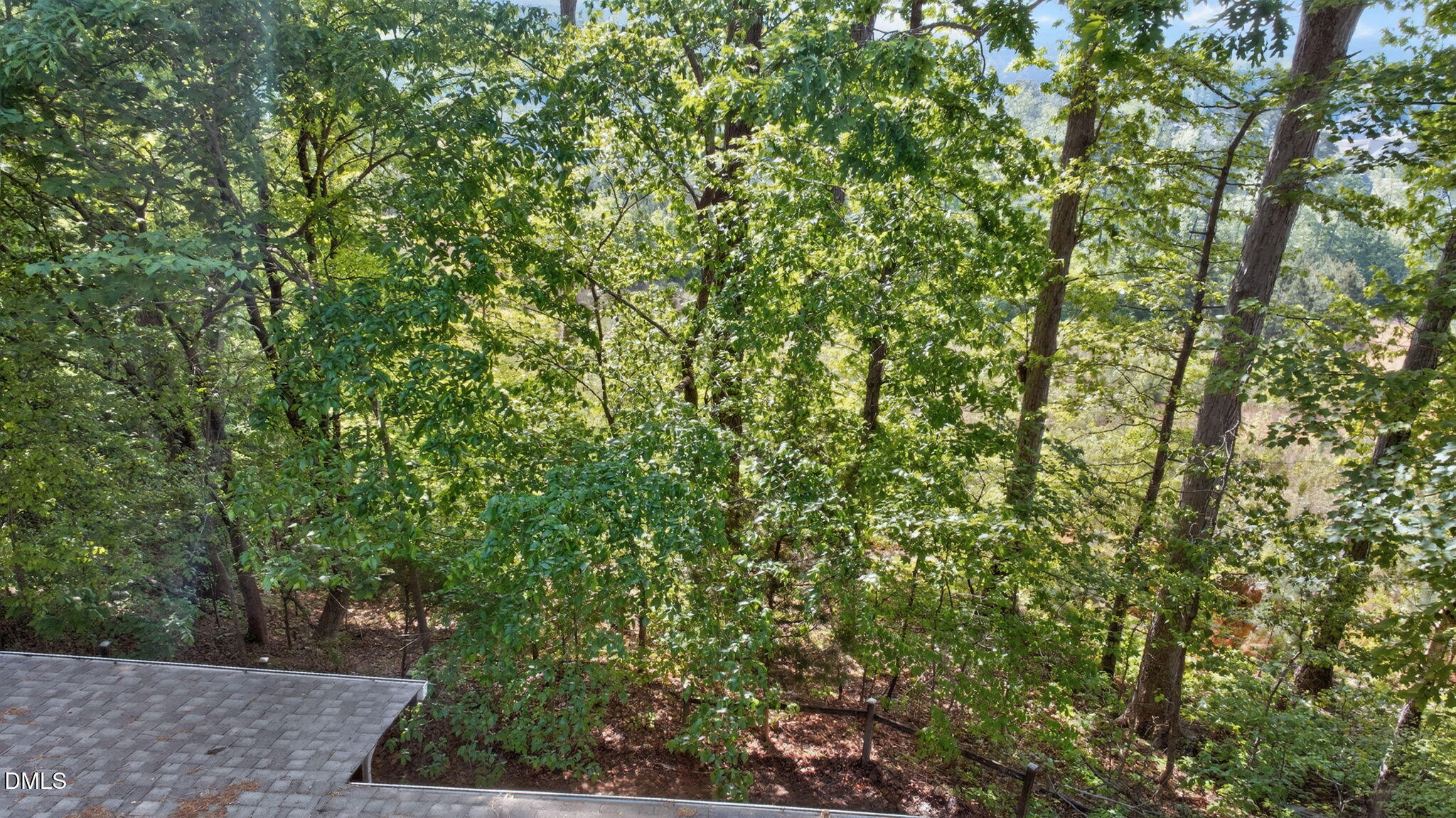 1714 Terry Road Durham, NC 27712 - Photo 36 of 39 a view of a yard with plants and trees