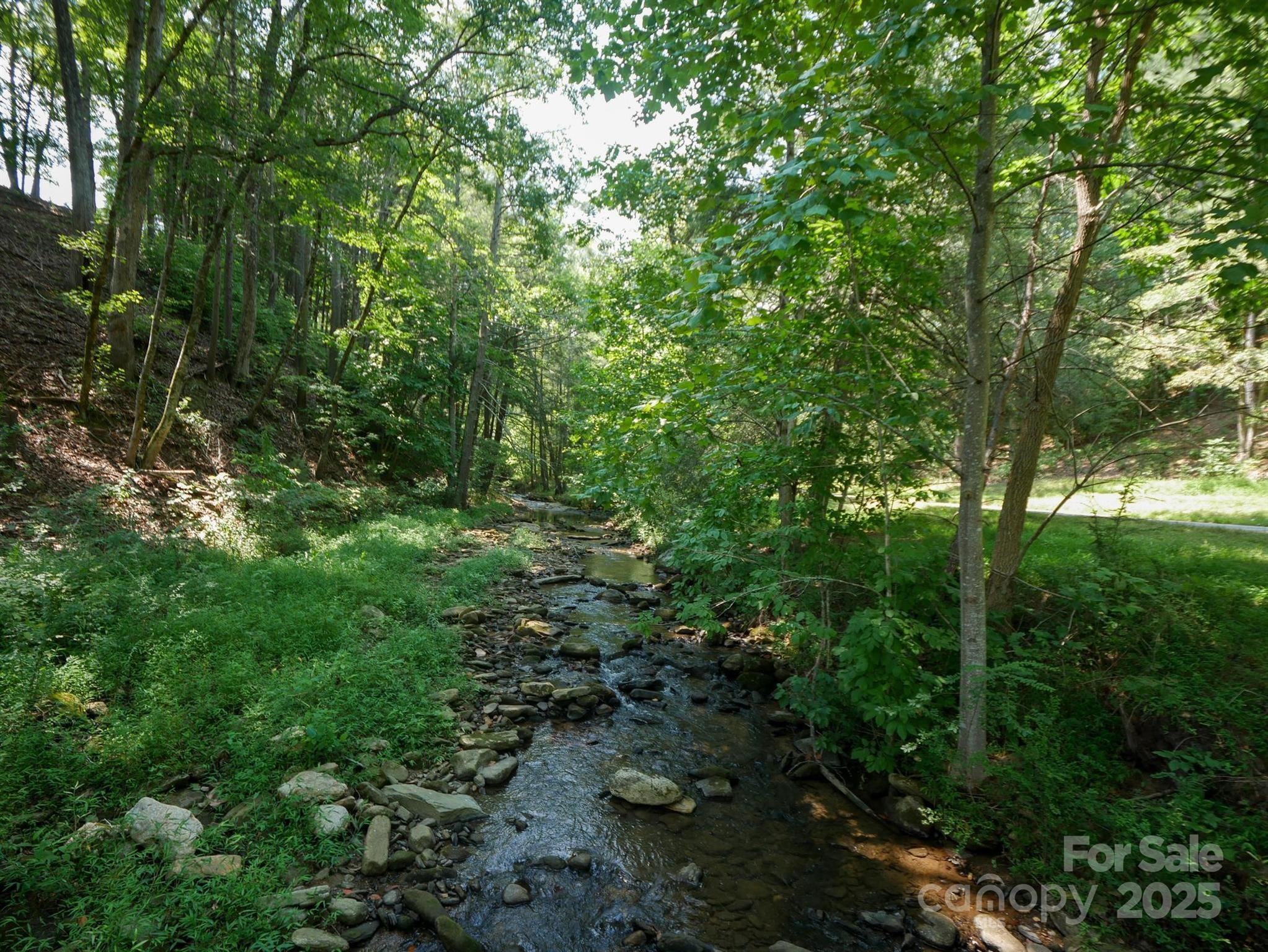 0 Deep Gap Rd Mill Spring East, Unit 59 Mill Spring, NC 28756 - Photo 15 of 25