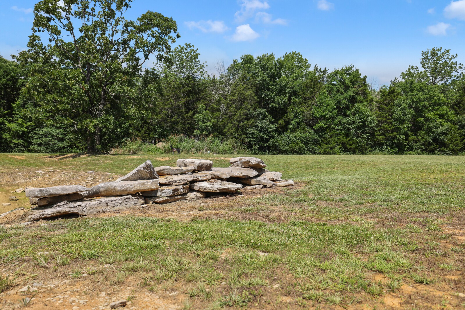 9520 Dyer Road Rockvale, TN 37153 - Photo 76 of 98