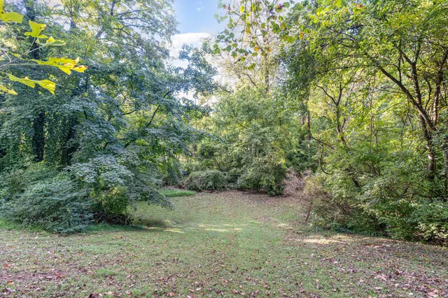 a view of a field with a tree