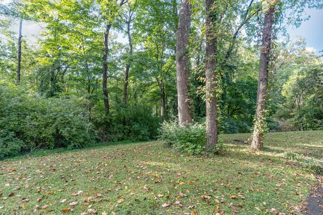 a view of a yard with a trees