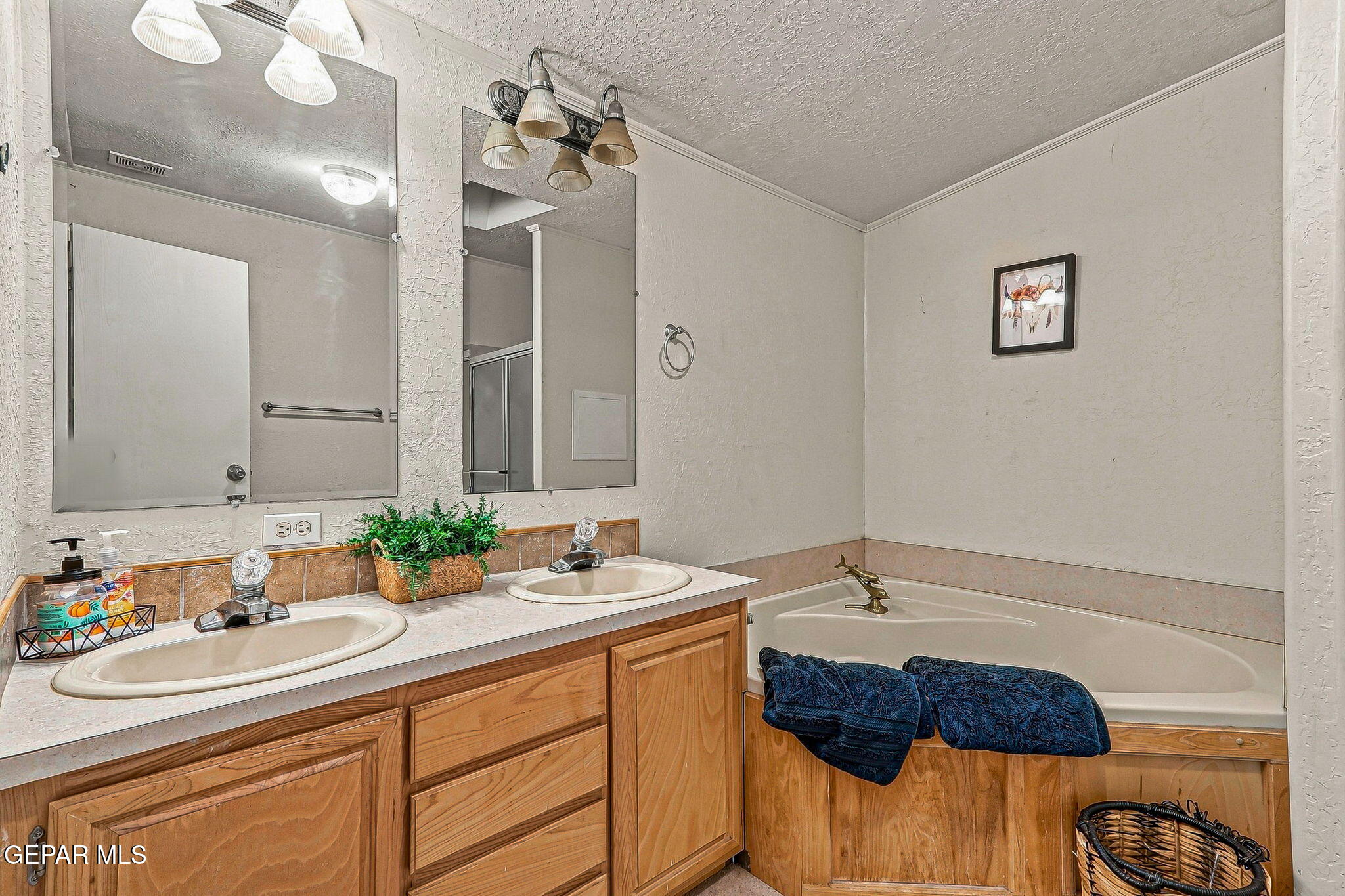 1181 Alvarez Road, Unit 12 Anthony, NM 88021 - Photo 71 of 126 77-web-or-mls-IMG_0639