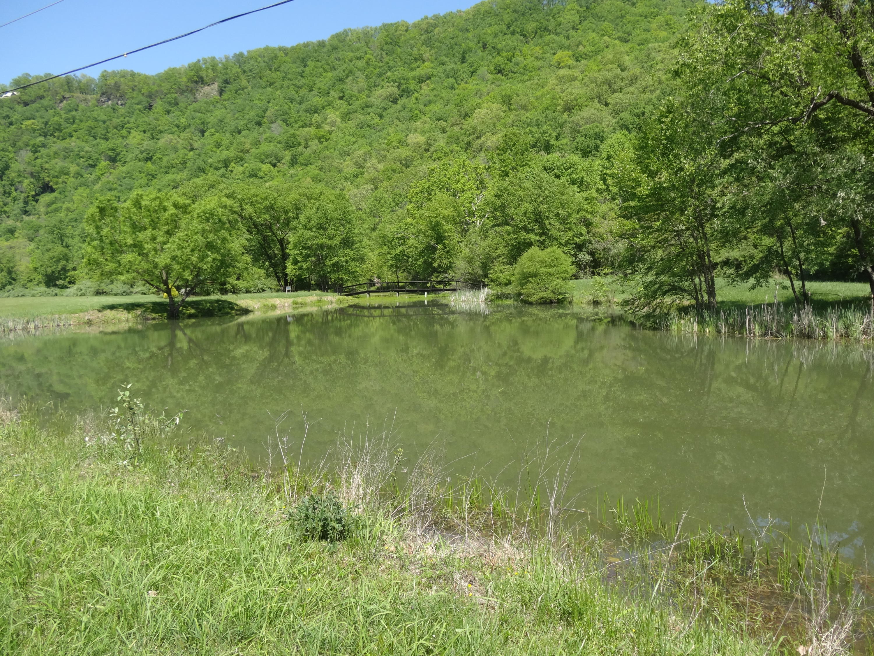 Lot 21 Anthony Ridge Road Frankford, WV 24938 - Photo 19 of 26 Gallery Image 19
