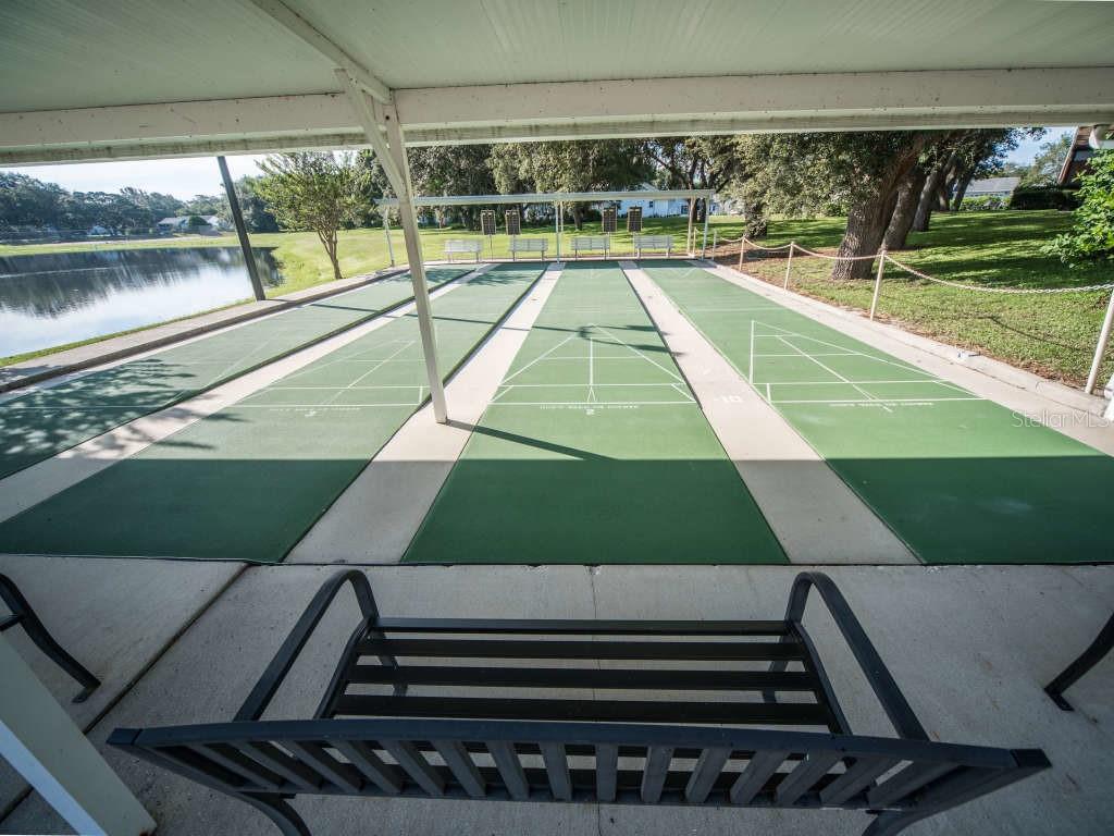 2003 Tweed Court Leesburg, FL 34788 - Photo 46 of 47