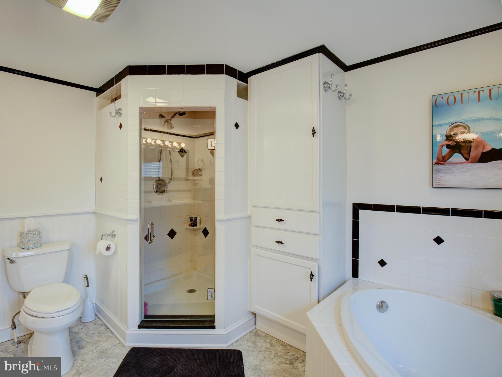 80 Rocky Bank Road Boyce, VA 22620 - Photo 28 of 30 a bathroom with a toilet sink and shower